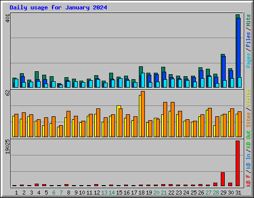 Daily usage for January 2024