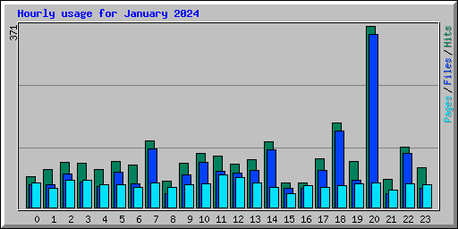 Hourly usage for January 2024