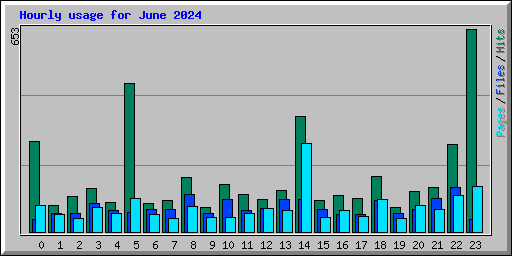 Hourly usage for June 2024